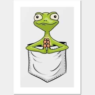 Zen Art Yoga Pose Frog | Gecko Reptile In Pocket Posters and Art